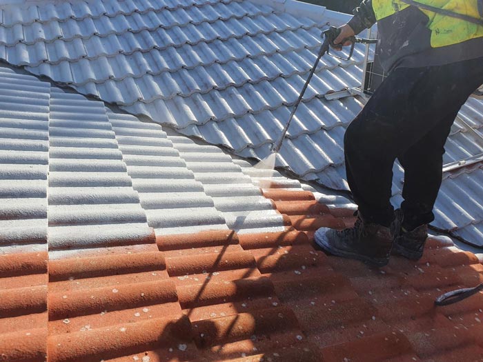 roof seal painting